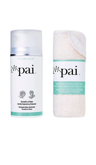Pai Skincare Camellia And Rose Gentle Hydrating Cleanser In Beauty: Na