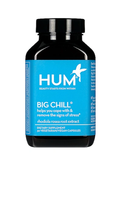 Hum Nutrition Big Chill 助长剂 In N,a