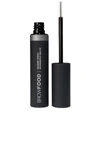 Lashfood Browfood Clear Brow Enhancing Gelfix In N,a