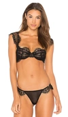 Bluebella Continuity Collection Marina Bra In Black