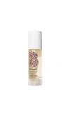 Briogeo Farewell Frizz™ Rosehip, Argan And Coconut-oil Blend Hair Oil 30ml In N,a