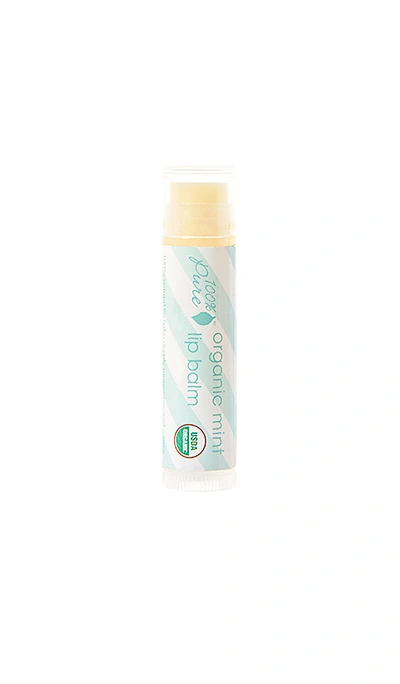 100% Pure Lip Balm In Organic Mint