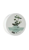 100% PURE 100% PURE WHIPPED BODY BUTTER IN EUCALYPTUS.,100R-WU275