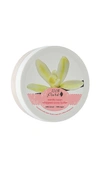 100% PURE WHIPPED BODY BUTTER