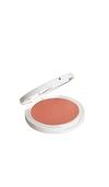 JILLIAN DEMPSEY LID TINT SATIN EYE SHADOW,JDEM-WU6