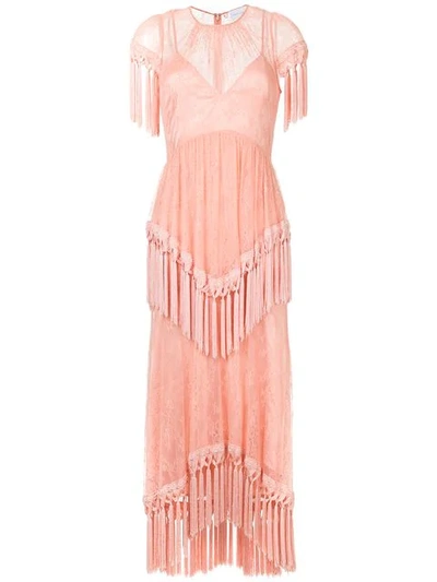 Alice Mccall More Than Dress In Pink