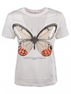 GOLDEN GOOSE CHERRY T-SHIRT,10539230