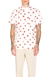 COMME DES GARÇONS SHIRT COMME DES GARCONS SHIRT COTTON POPLIN PRINTED SHIRT IN WHITE,ABSTRACT