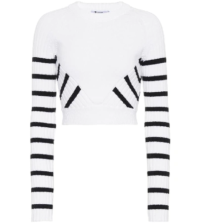 Alexander Wang T T By Alexander Wang Striped Crop Sweater In White