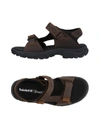 TIMBERLAND Sandals,11451556CJ 7