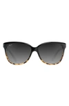 Maui Jim Starfish 56mm Polarized Cat Eye Sunglasses - Black/ Tortoise In Black/ Tortoise