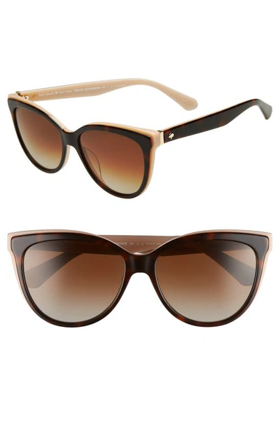 Kate Spade Daeshas Round Polarized Acetate Sunglasses, Brown/pink In Havana Pink Polar