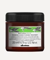 DAVINES NATURALTECH RENEWING CONDITIONING TREATMENT 250ML,000551094