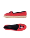 TOMMY HILFIGER ESPADRILLES,11447903XS 15