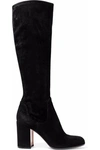 GIANVITO ROSSI WOMAN SUEDE KNEE BOOTS BLACK,US 7789028784513700