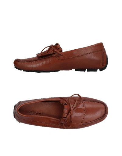 Kiton Loafers In Brown