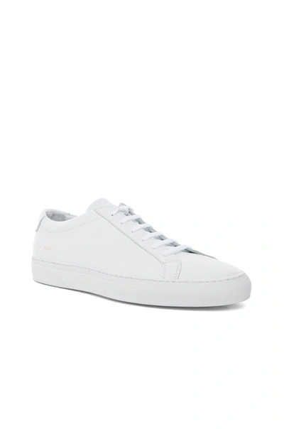 Common Projects Original Leather Achilles Low In White