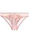 STELLA MCCARTNEY WOMAN LACE-TRIMMED PRINTED SATIN AND MESH LOW-RISE BRIEFS PINK,AU 22046357004942501