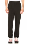 STUSSY STOCK TERRY PANT