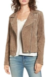 Blanknyc Crop Suede Moto Jacket In Midnight Toker