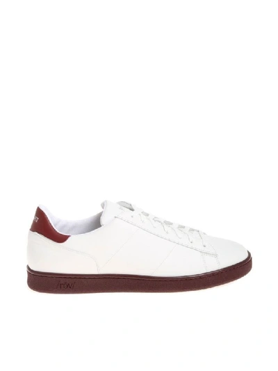 Rov Leather Trainer In White