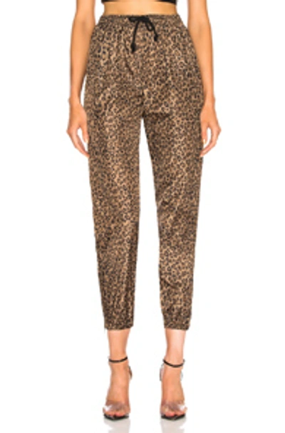 Adaptation Leopard Track Trouser In Natural