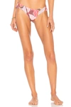 MAAJI Chi Chi Cut Bikini Bottom,MAAJ-WX546