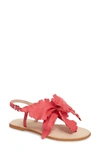 CECELIA NEW YORK PEONY SANDAL,PEONY