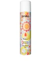Amika Fluxus Touchable Hairspray 8.2 oz/ 270 ml In N,a