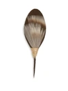 BRACKISH Folly Feather Plum Thicket Pin