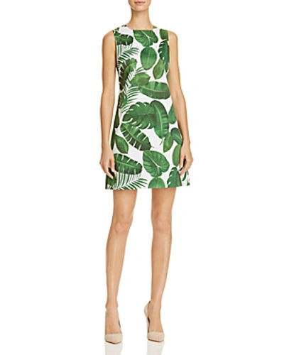 Alice And Olivia Coley Crew Neck A-line Dress In Tropical Leaves