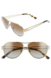 TORY BURCH 55MM POLARIZED AVIATOR SUNGLASSES - GOLD/ BROWN,TY606055-YP