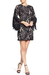 Dress The Population Dylan Crochet Shift Dress In Black/ Nude