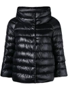 Herno Iconico Cropped Down Puffer Coat In Blue