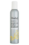 OUIDAD CURL RECOVERY(TM) WHIPPED CURLS DAILY CONDITIONER & STYLING PRIMER,93408