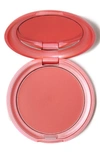 Stila Convertible Color Dual Lip & Cheek Cream - Petunia In Petunia