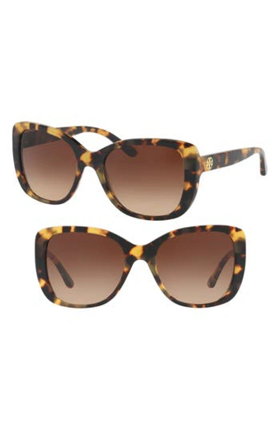 Tory Burch 53mm Gradient Rectangle Sunglasses - Lite Tortoise