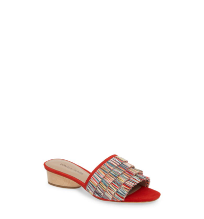 Donald Pliner Reise Raffia Fringe Low Slide Sandals In Red Fabric