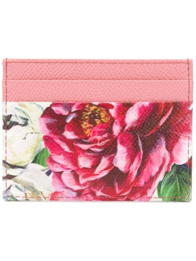 Dolce & Gabbana Floral Print Card Holder In Multicolour