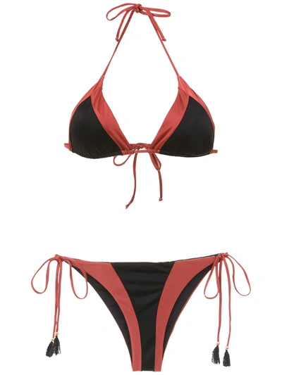 Brigitte Triangle Top Bikini Set In Pink