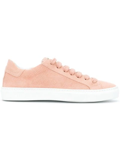 Hide & Jack Lizard-effect Sneakers In Pink