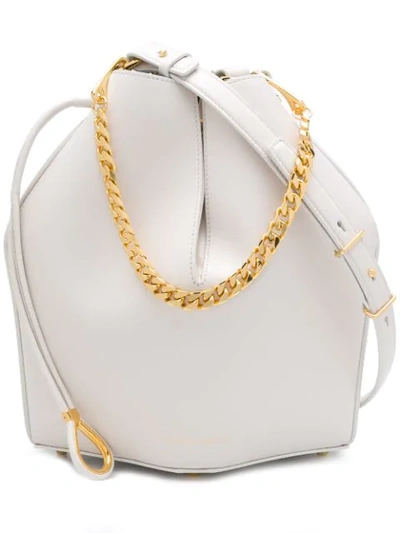 Alexander Mcqueen The Bucket Shiny Calf Shoulder Bag - Golden Hardware In Off White