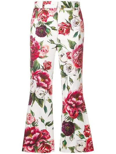 Dolce & Gabbana Peony-print High-rise Flared Pants In Floral