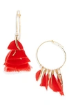 GAS BIJOUX MARLY FEATHER DROP EARRINGS,AMARLY/O/PL