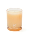 THE WEBSTER ,NEWWEBSTERCANDLE