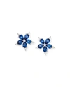 PAUL MORELLI SMALL STELLANISE BLUE SAPPHIRE & DIAMOND STUD EARRINGS,PROD213160003