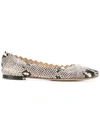 Chloé Lauren Scalloped Snake-effect Leather Ballet Flats In Neutrals