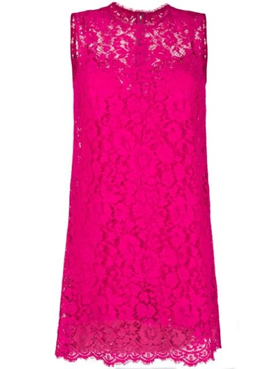 Dolce & Gabbana 蕾丝直筒裙 - 粉色 In Pink