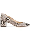 Chloé Lauren Scalloped-edge Python-effect Leather Pumps In Multicolored