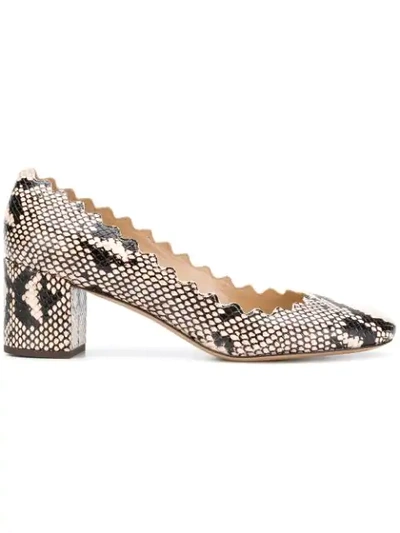 Chloé Lauren Scalloped-edge Python-effect Leather Pumps In Multicolored